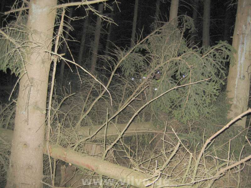 10NordEifelUltra2_19.jpg 10NordEifelUltra2_19.jpg