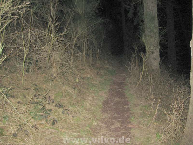 10NordEifelUltra2_21.jpg 10NordEifelUltra2_21.jpg
