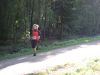 11hambachwald018.jpg
