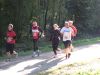 11hambachwald031.jpg