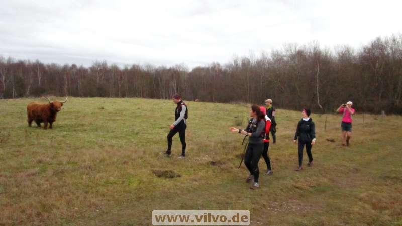 16NETTJeck03.jpg 16NETTJeck03.jpg