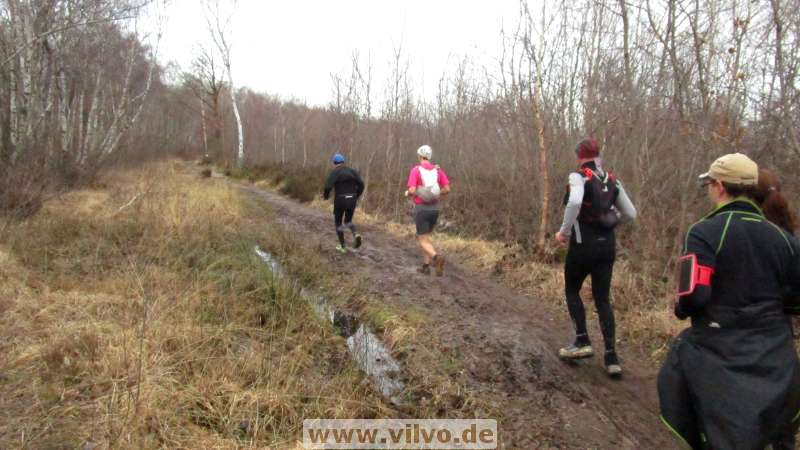 16NETTJeck04.jpg 16NETTJeck04.jpg