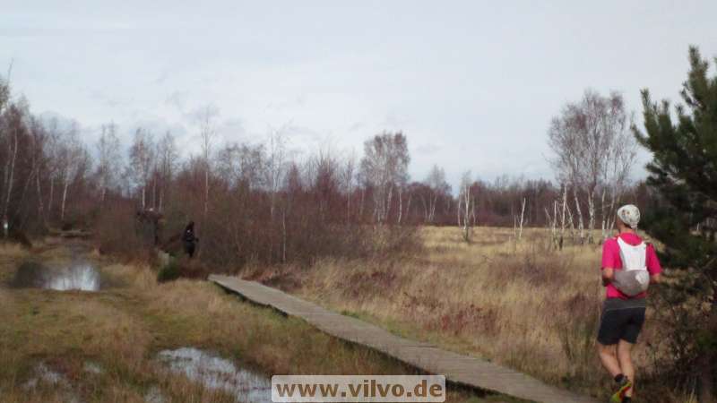 16NETTJeck06.jpg 16NETTJeck06.jpg