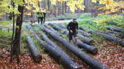 17NETT05.jpg
