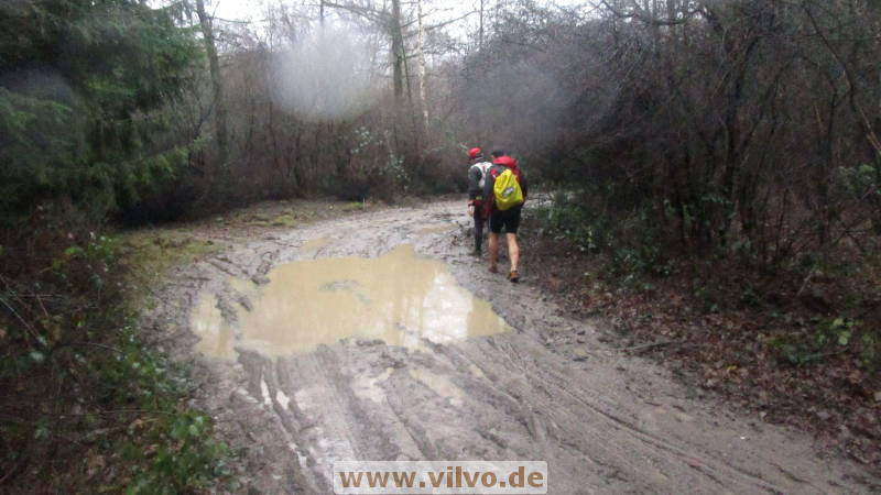 19NEUjanuar03.jpg 19NEUjanuar03.jpg