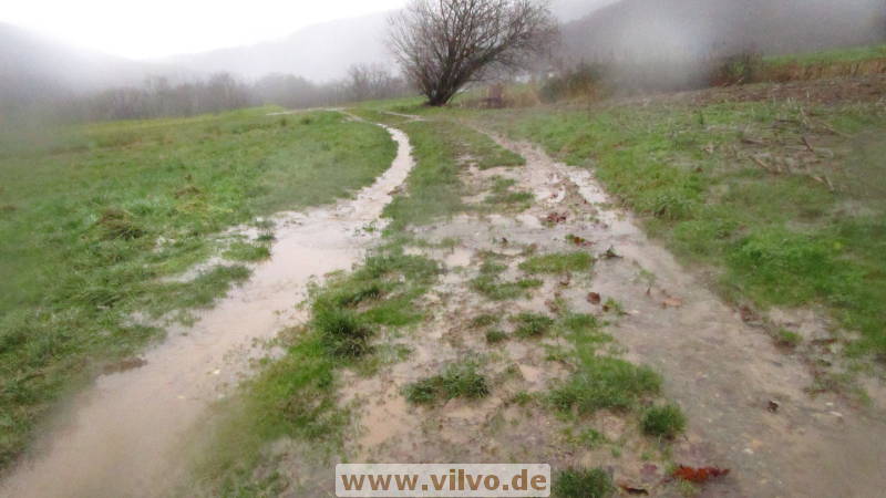 19NEUjanuar09.jpg