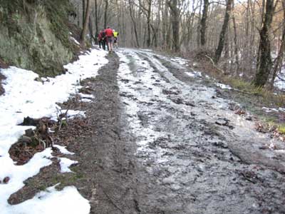 am Thönbach hinauf