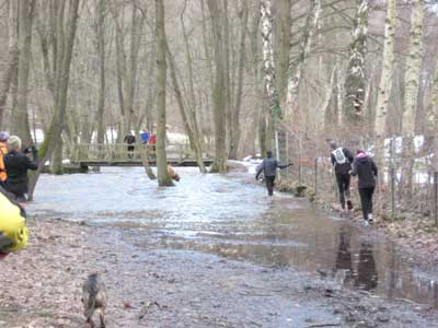 ... nass - Arbeitsteilung: knipsen, waten, warten