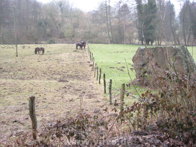 SEK7_02_09_41.jpg