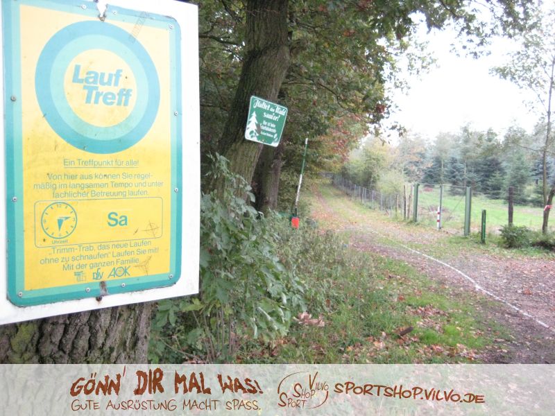 10hambach-wald002.jpg