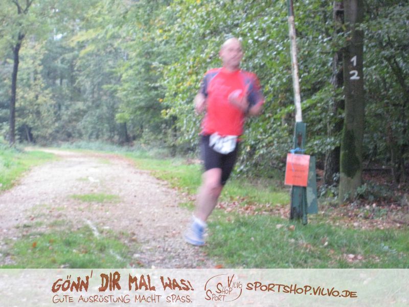 10hambach-wald004.jpg