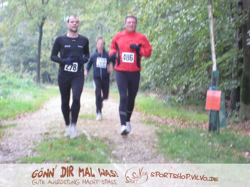 10hambach-wald014.jpg