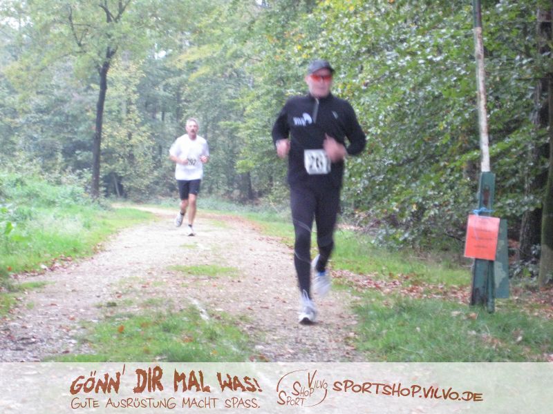 10hambach-wald023.jpg