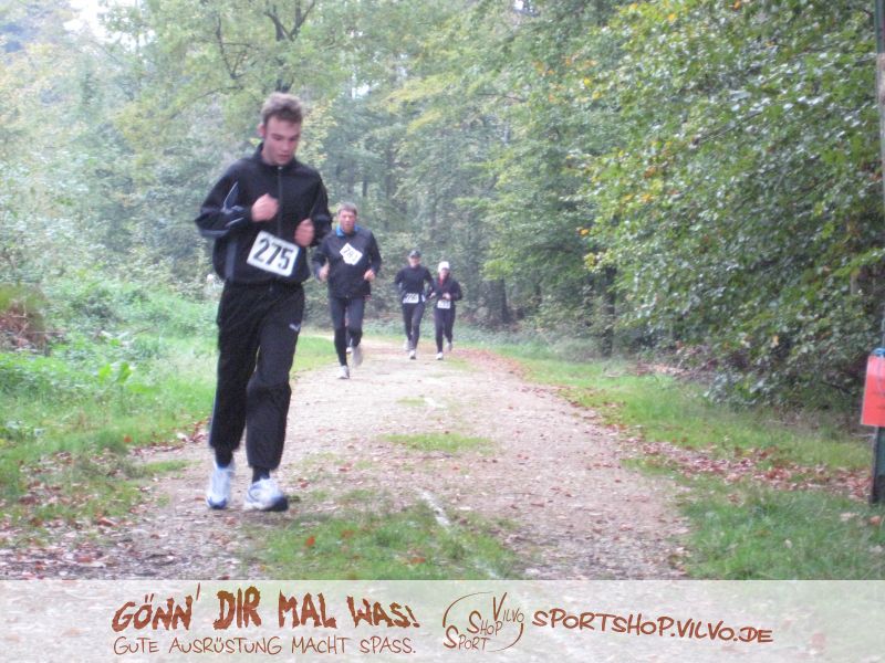 10hambach-wald025.jpg