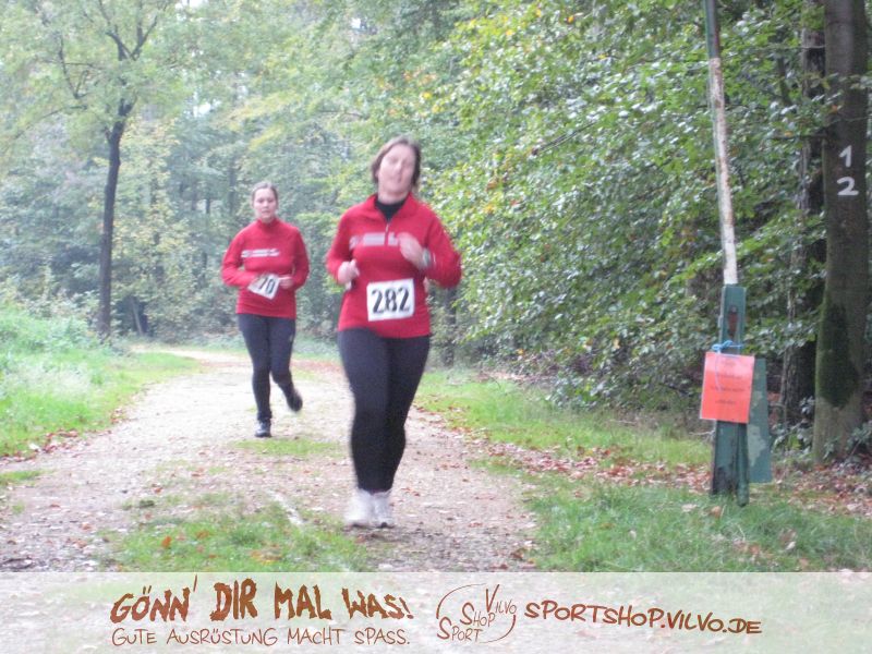 10hambach-wald035.jpg