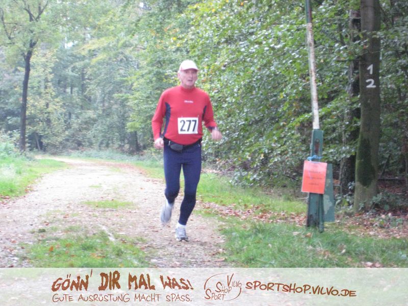 10hambach-wald040.jpg