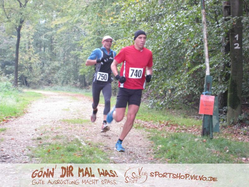 10hambach-wald046.jpg