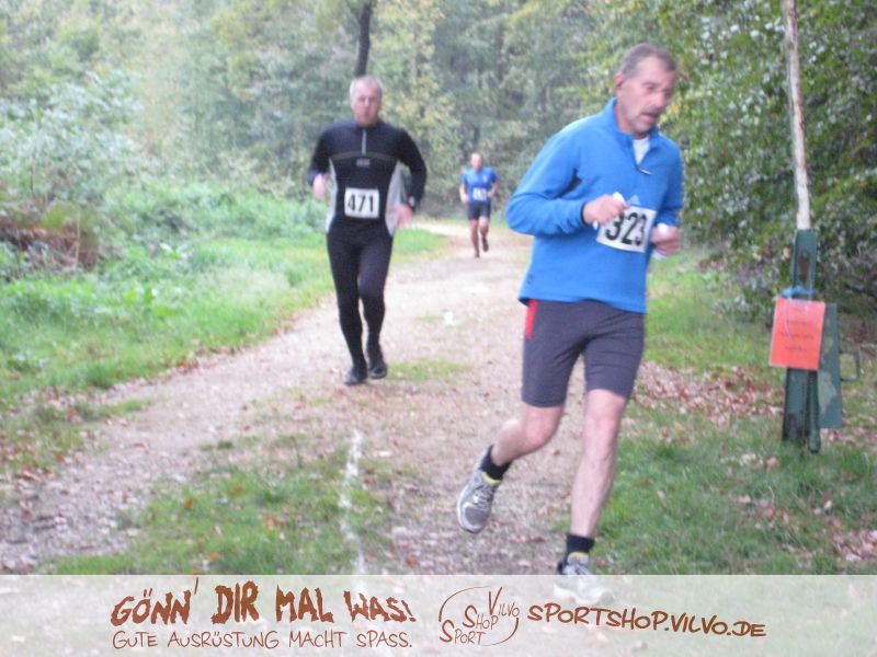 10hambach-wald085.jpg