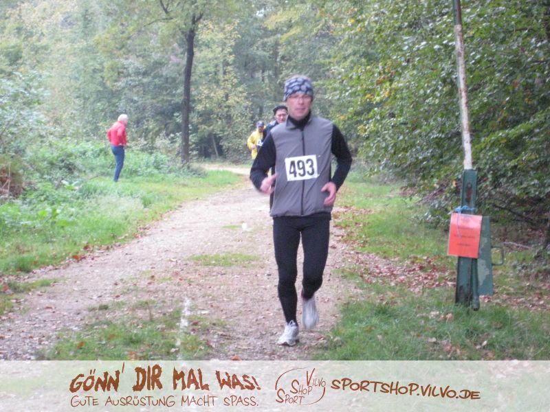 10hambach-wald101.jpg