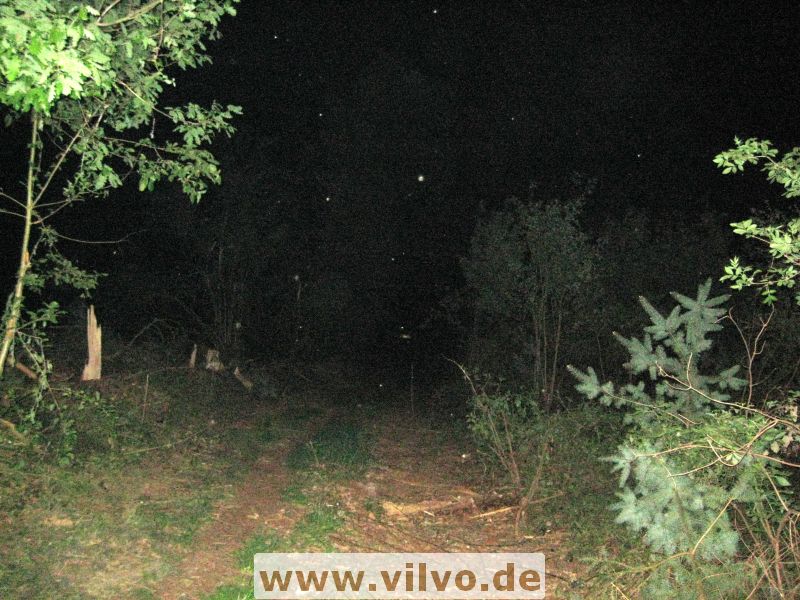 11NEU2_13.jpg