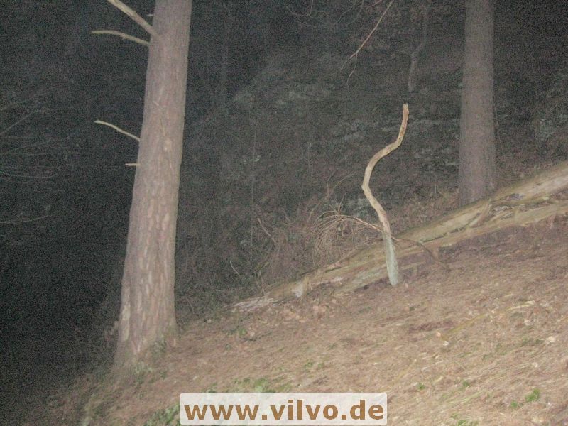 12rurb-dn15.jpg 12rurb-dn15.jpg