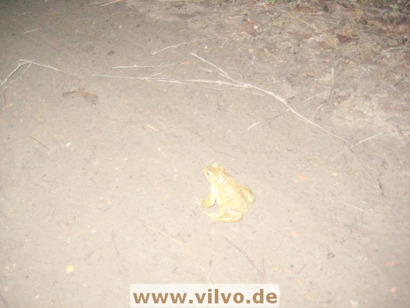 12rurb-dn18.jpg 12rurb-dn18.jpg