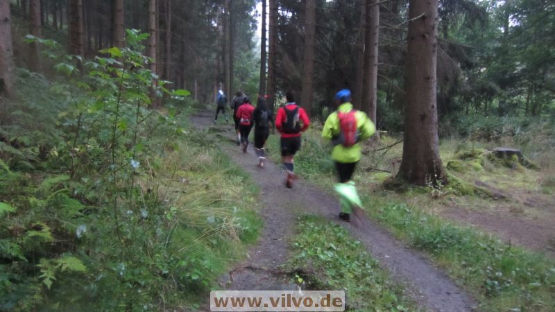 12pussy-run-2.0003.jpg