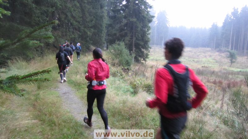 12pussy-run-2.0005.jpg