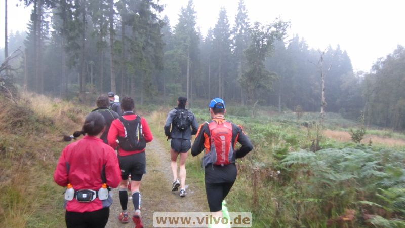 12pussy-run-2.0006.jpg