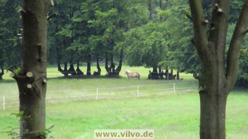 15roetgen002.jpg