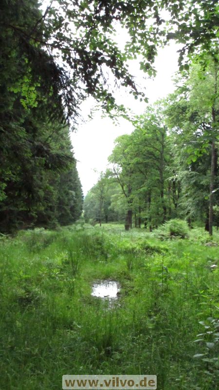 15roetgen005.jpg