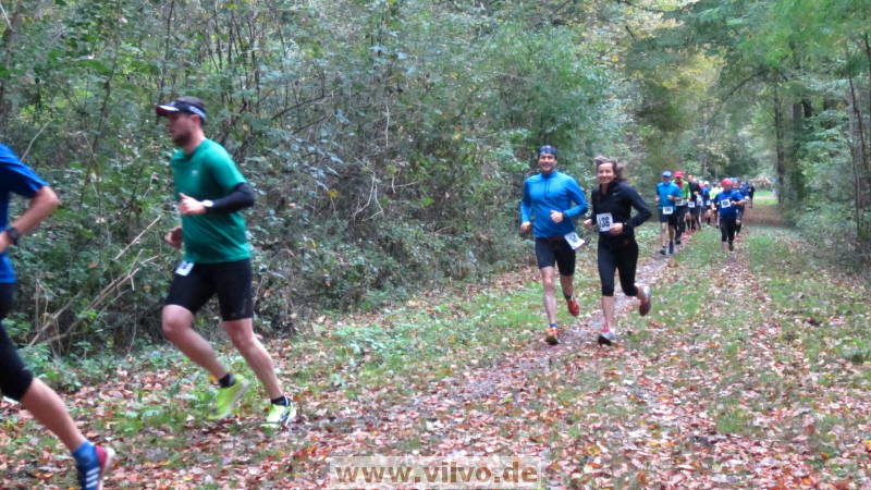 17hambachwald023.jpg 17hambachwald023.jpg
