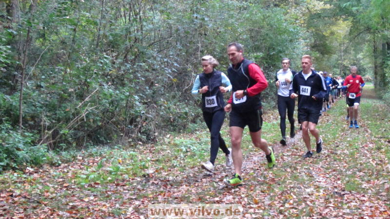 17hambachwald032.jpg 17hambachwald032.jpg