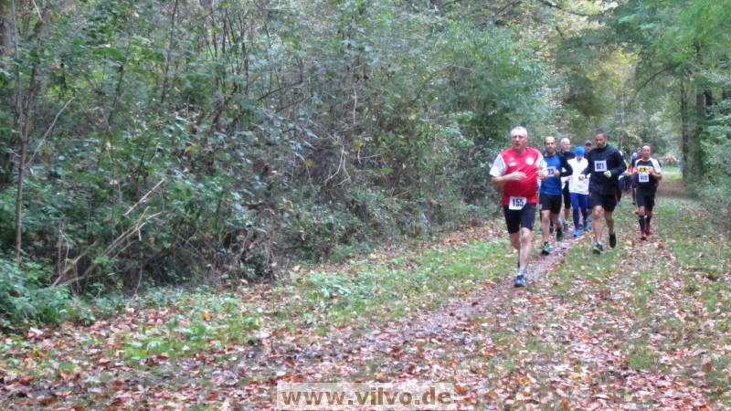 17hambachwald041.jpg 17hambachwald041.jpg