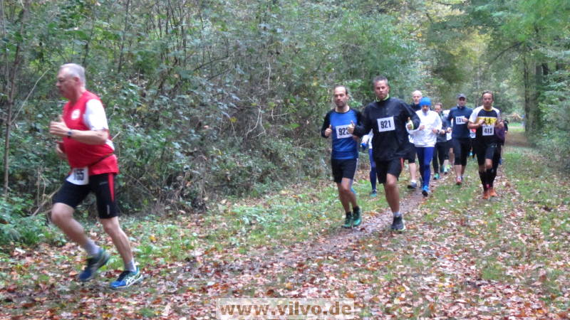 17hambachwald042.jpg 17hambachwald042.jpg