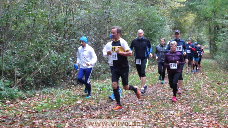 17hambachwald043.jpg
