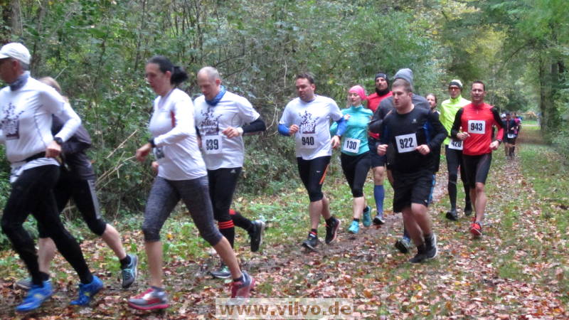 17hambachwald046.jpg