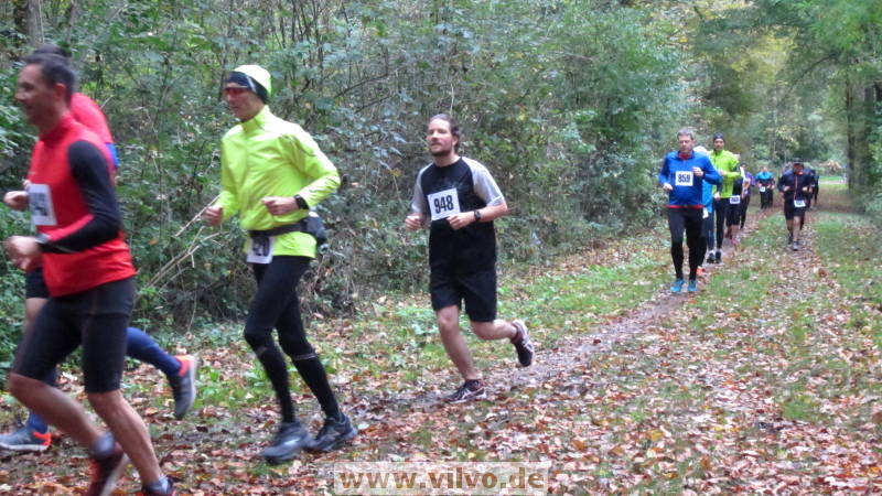 17hambachwald047.jpg