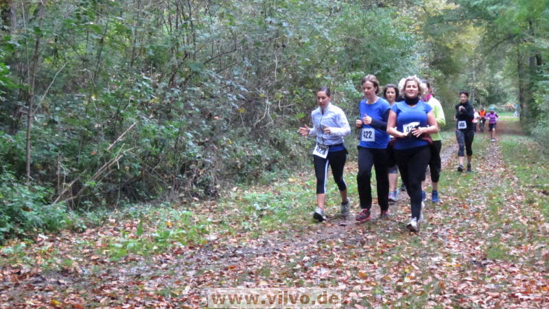 17hambachwald064.jpg