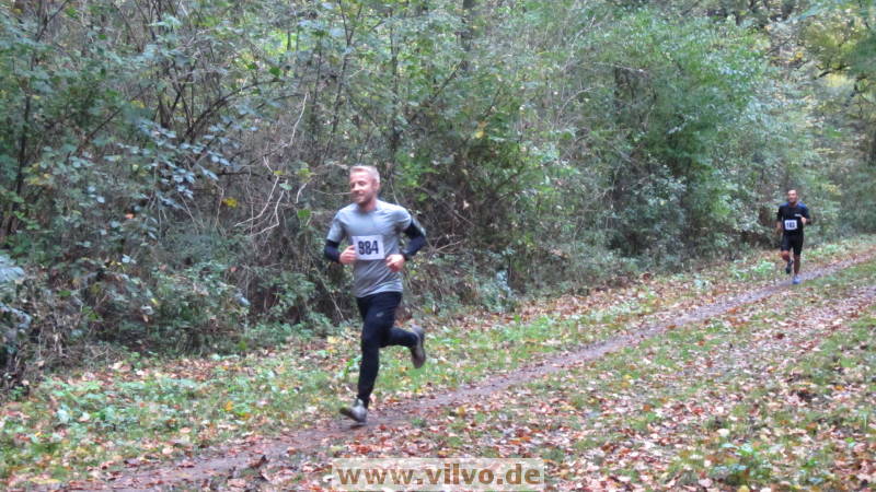 17hambachwald072.jpg 17hambachwald072.jpg