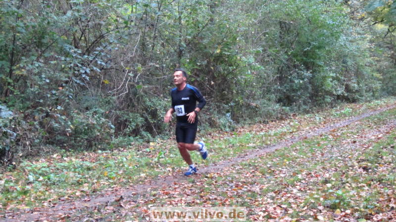 17hambachwald073.jpg