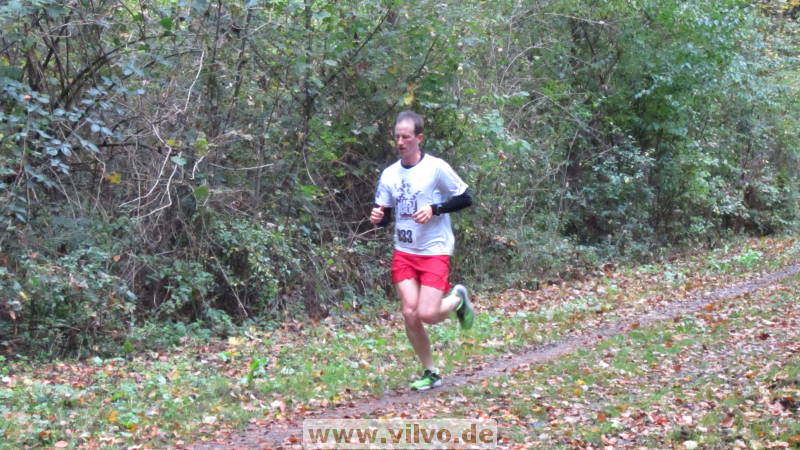 17hambachwald075.jpg
