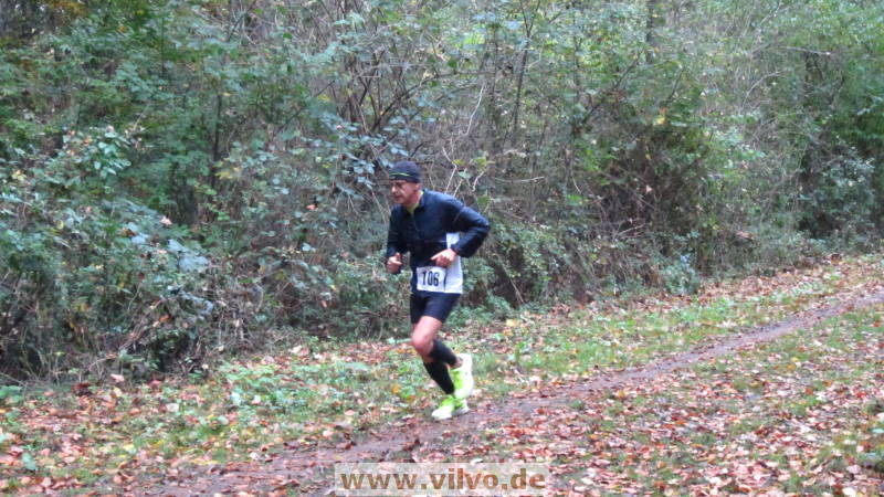 17hambachwald079.jpg