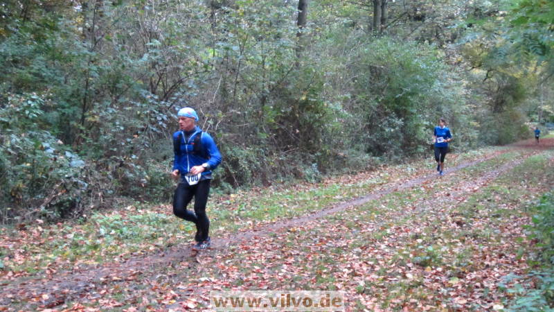 17hambachwald088.jpg 17hambachwald088.jpg
