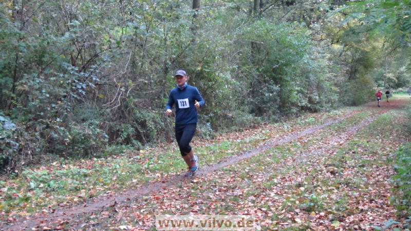 17hambachwald110.jpg 17hambachwald110.jpg