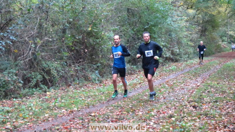 17hambachwald121.jpg 17hambachwald121.jpg