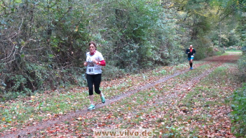 17hambachwald127.jpg 17hambachwald127.jpg