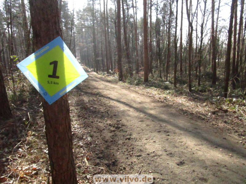 25donatuslauf025.jpg
