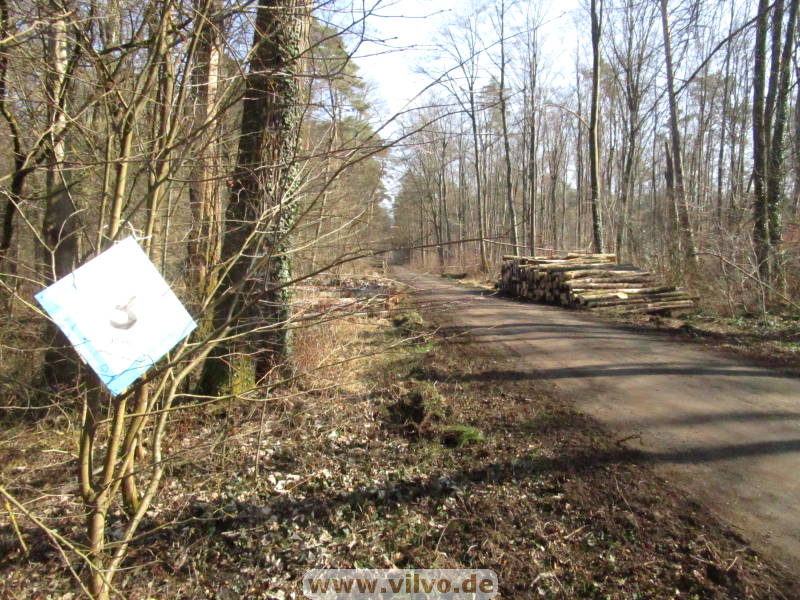 25donatuslauf110.jpg