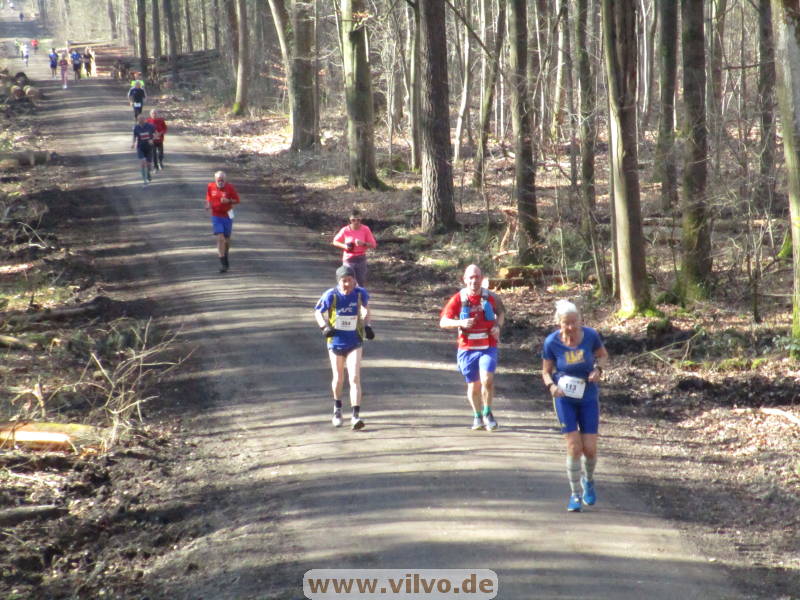 25donatuslauf288.jpg